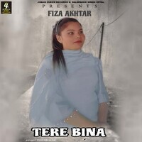 Tere Bina