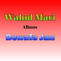 Bewafa Jan