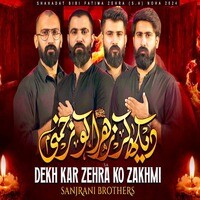 Dekh Kar Zehra Zakhmi