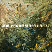 Sanam Jane da Tore Zulfe De