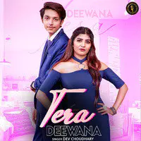 Tera Deewana