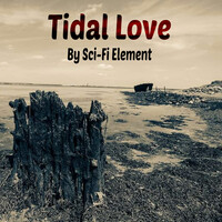 Tidal Love