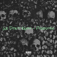 We Didn't Know - Freestyle