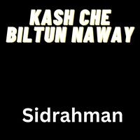Kash Che Biltun Naway