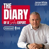 Diary of a Sales Expert - season - 1