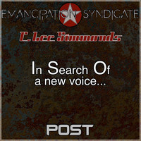 In Search of a New Voice: Post