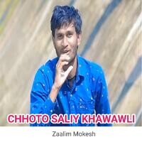 Chhoto Saliy Khawawli