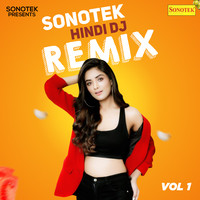 Sonotek Hindi DJ Remix Vol 1 Songs Download Sonotek Hindi DJ