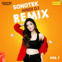 Sonotek Hindi DJ Remix Vol 1