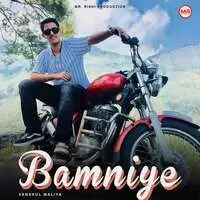 Bamniye