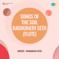 Songs Of The Soil Raghunath Seth Flute
