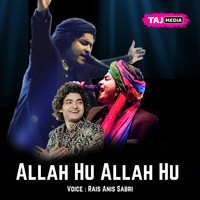 Allah Hu Allah Hu Song Download: Play & Listen Allah Hu Allah Hu Urdu ...