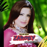 Zargey Kabab Sho Zama