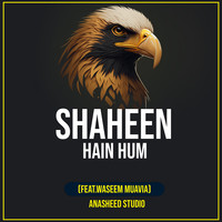 Shaheen Hain Hum