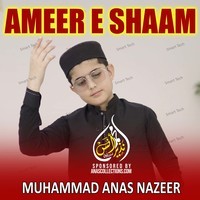 Ameer E Shaam