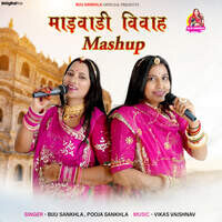 Marwadi Vivah Mashup