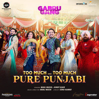 Too Much... Too Much Pure Punjabi (From "Gabru Gang")