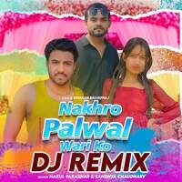 Nakhro palwal wari ko DJ Remix