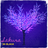 Sakura Song Download: Play & Listen Sakura all MP3 Song by by 3A Blaga ...