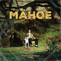 Māhoe