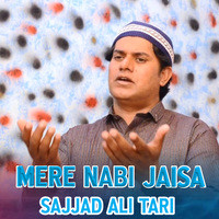 Mere Nabi Jaisa