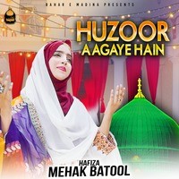 HUZOOR AA GAYE HAIN