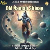 Om Namah Shivay