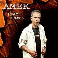 Amek