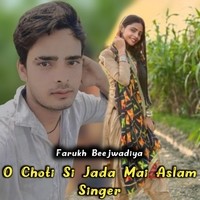 O Choti Si Jada Mai Aslam Singer