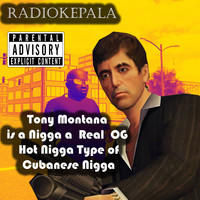 Tony Montana Is a Nigga a Real Og Hot Nigga Type of Cubanese Nigga