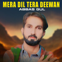 Mera Dil Tera Deewan