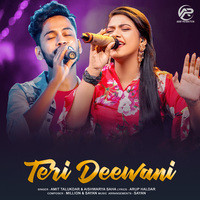 Teri Deewani