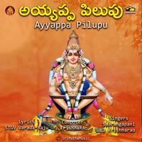 Ayyappa Pilupu