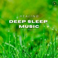 Deep Sleep Music (Healing)