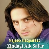 Zindagi Aik Safar