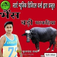 Bhains Badi Markahiya