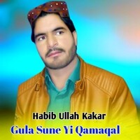 Gula Sune Yi Qamaqal