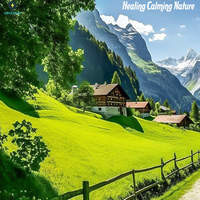 Healing Calming Nature