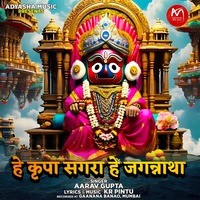 He Krupa Sagar He Jagannath