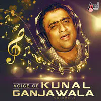 Voice of Kunal Ganjawala - Volume - 2