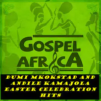 Dumi Mkokstad Album Songs - Download Hit Dumi Mkokstad New Albums ...