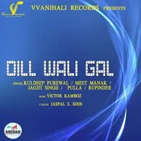 Dill Wali Gal