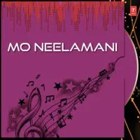 Mo Neelamani