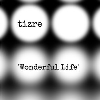 Wonderful Life