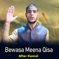 Bewasa Meena Qisa