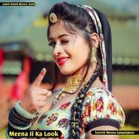 Meena Ji Ka Look