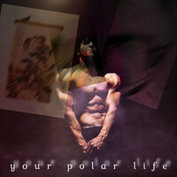 Your Polar Life