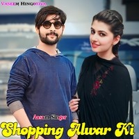 Shopping Alwar Ki