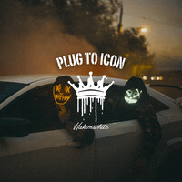 Plug to Icon