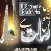 Tu Shamm E Risalat Hai